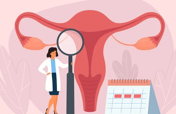 Gut Health and Your Period – Rif care