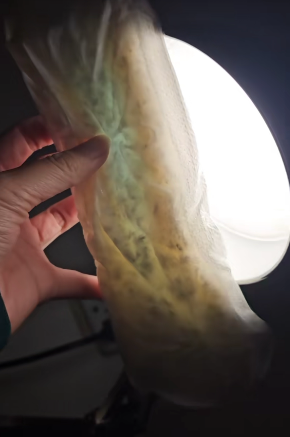 The Viral Pad Test: What You’re Actually Seeing Under the Light