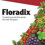 Floradix Iron & Herbs Vegetarian Liquid Supplement, Energy Support by NR Outlet